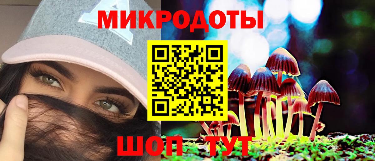 Ачхой-Мартан  Псилоцибиновые грибы Cubensis  Вход с VPN  Галлюциногенные грибы MAGIC MUSHROOMS 
